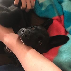 Meet your Posher, Kaitlyn